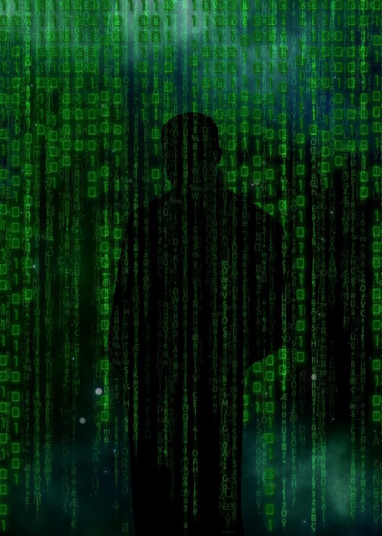 code, hacker, data-707069.jpg