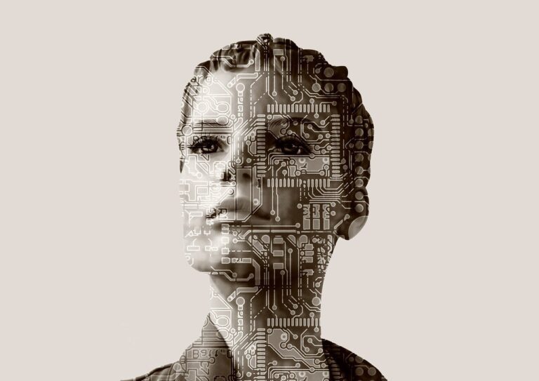 woman, artificial intelligence, computer science-506322.jpg
